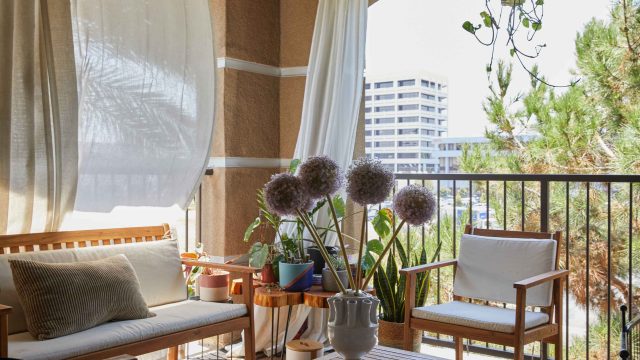 Discover Costco's Essential Sun Shade: A Must-Have for Summer