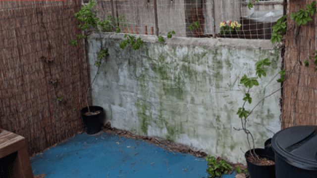 Transforming Outdoor Spaces: Innovative DIY Solutions for Patios | bocoran admin harmonibet, slot online new member 100, online chess, free 88 fortune slot machine, www 888poker com login