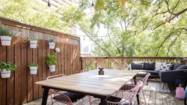 Innovative Indoor Gardening: Transforming Small Spaces