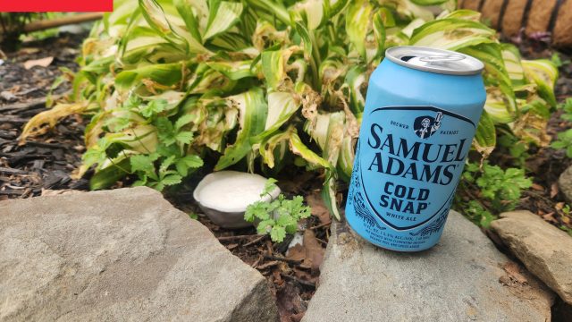 Innovative Ways to Naturally Deter Slugs in Your Garden | result hk 6 digit 2022, win gladiator 88, nama asli member txt, eyang tgl hk, wbocahs