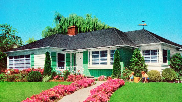 Reviving Retro: Landscaping Trends That Are Shaping Today's Gardens