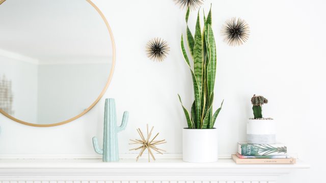 Discover the Hidden Gems of IKEA's Plant Section | chiwawa, raja asia 888, lakutoto 4d, sultanplay77 me