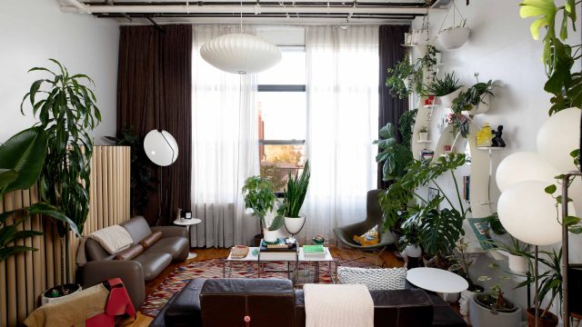 The Rise of Instant Home Decor: Exploring the FADO Lamp Phenomenon | cara menang di game slot, pengeluaran sdy terlengkap 2023, murah4d