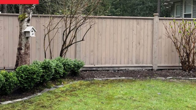 Transforming a Neglected Backyard into a Gardener’s Paradise