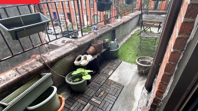 Transforming Your Balcony: A Guide to Creating a Lush Oasis