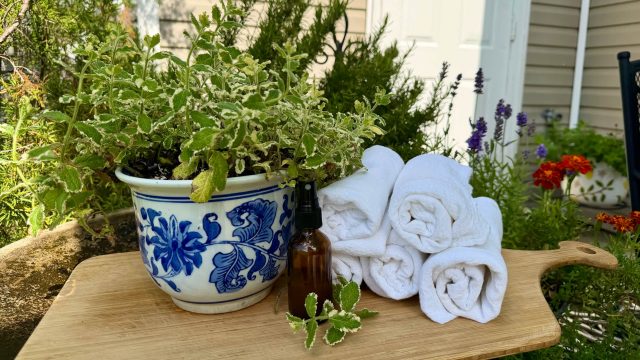 Discover a Simple Way to Beat the Heat Using Fresh Ingredients