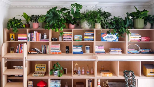 Maximize Your Shelf Space with the Triangle Method: A Fresh Approach