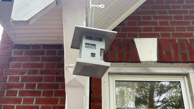 Creating a Bird Oasis: The Rise of Bird Feeders in Urban Spaces