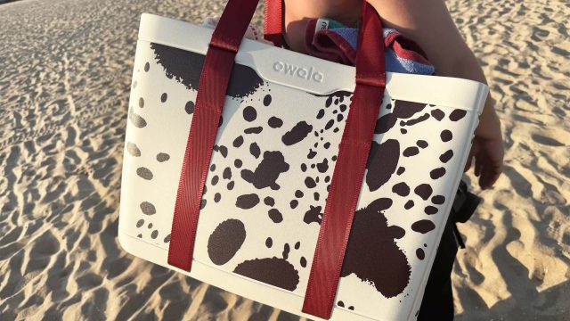 Discover the Ultimate Collapsible Tote for Your Beach Adventures