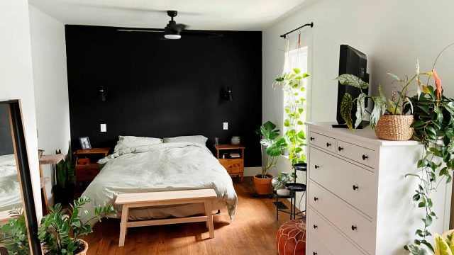 Why Black Walls Might Not Be the Best Design Choice Anymore