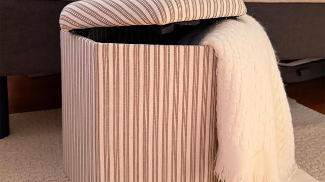 Transform Your Small Living Space with This Affordable Storage Solution