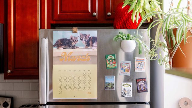 Maximizing Freezer Space: Innovative Storage Solutions