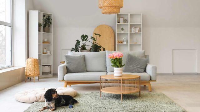 Unlock Exclusive Discounts: Your Guide to Early Labor Day Sales