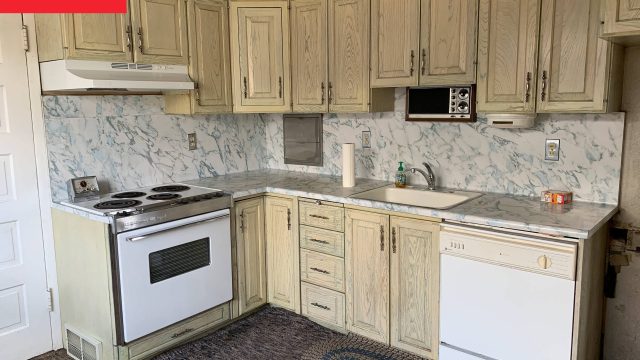 Reviving History: A Timeless Kitchen Renovation