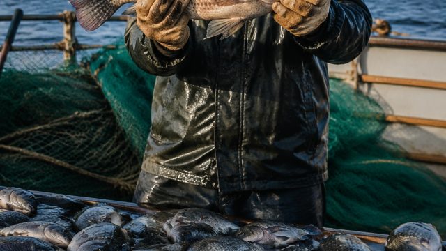 Addressing Invasive Fish Species: A Call to Action for Fishermen