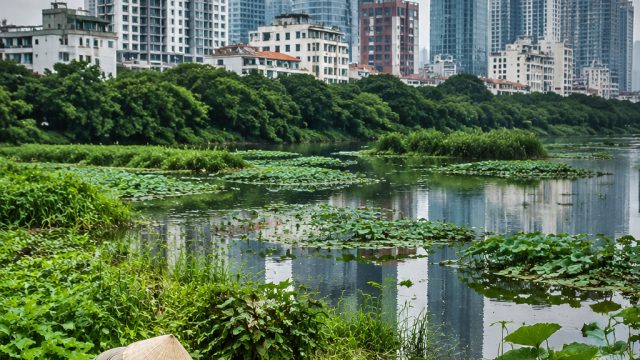 Balancing Urban Development and Nature to Combat Vietnam's Flooding Crisis | totobet info kita, alexabet889