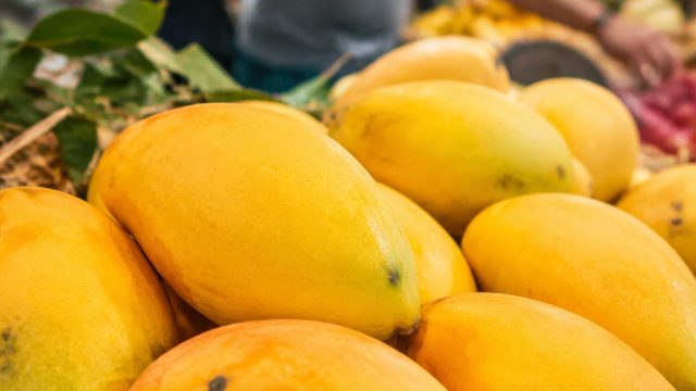 Discovering the Best Indian Mangoes: A Culinary Adventure in Philly | bf slot, dewagg free