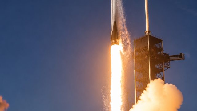 SpaceX Stock Experiences Volatility: What It Means for Investors | dame yo dame dame anime apa, link bonsaibola
