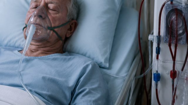 Investigation Launched After Dialysis Port Cut Leads to Fatality | scatter slots free spins, rtp ninja slot, slot just4d